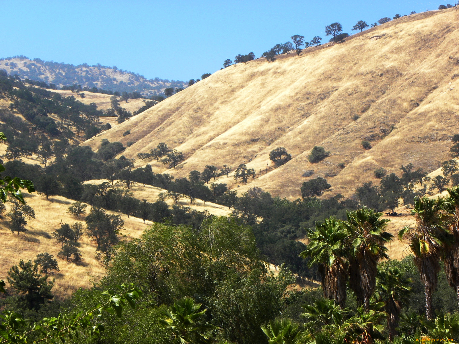 central, california, three, rivers, , , usa